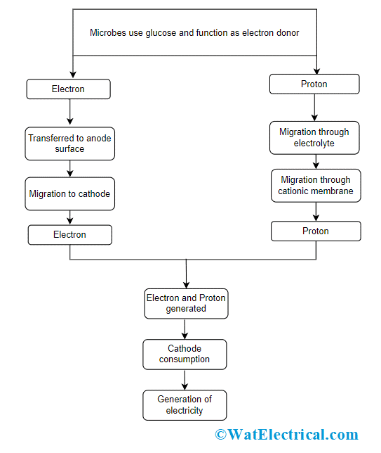 Electricity Generation Process in MFC