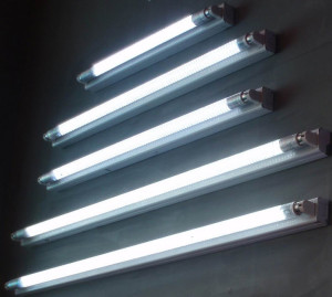 Fluorescent Tube