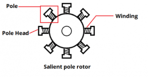 Salient pole rotor