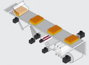 Servo Motor in Packaging Machine