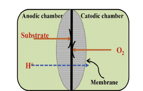 Single Chambered Microbial Fuel Cell