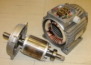 Stator_and_rotor_induction_motor