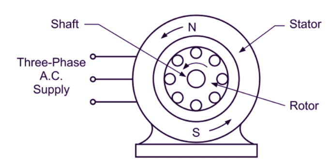 Three Phase Induction Motor