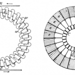 armature_winding