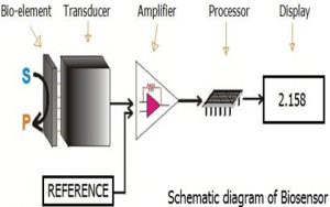 Biosensor