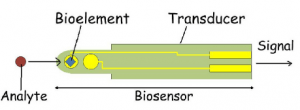 BioSensor