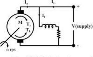 shunt motor